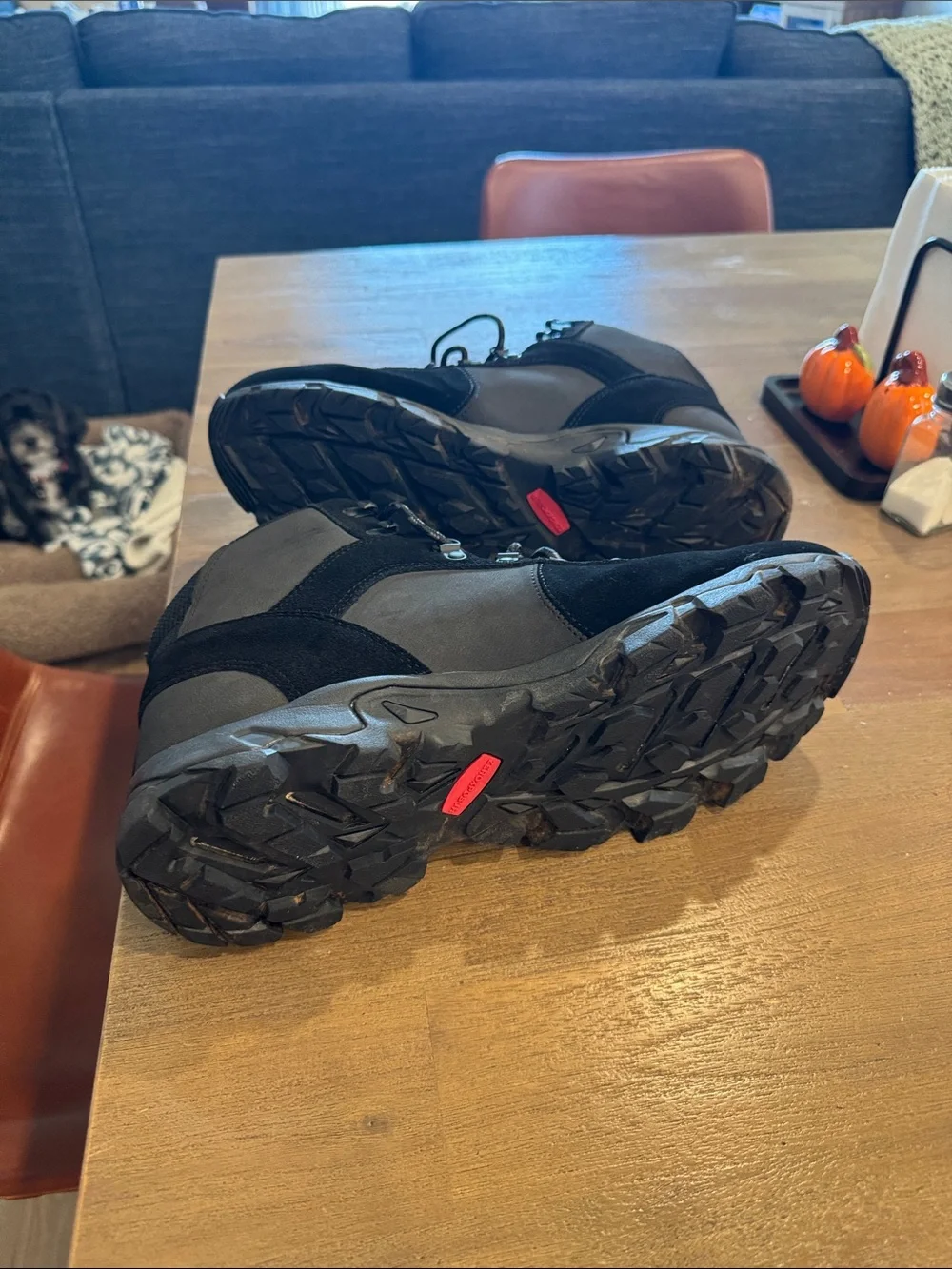 ZeroXposur Men's Black Lace-Up Hiking Boots